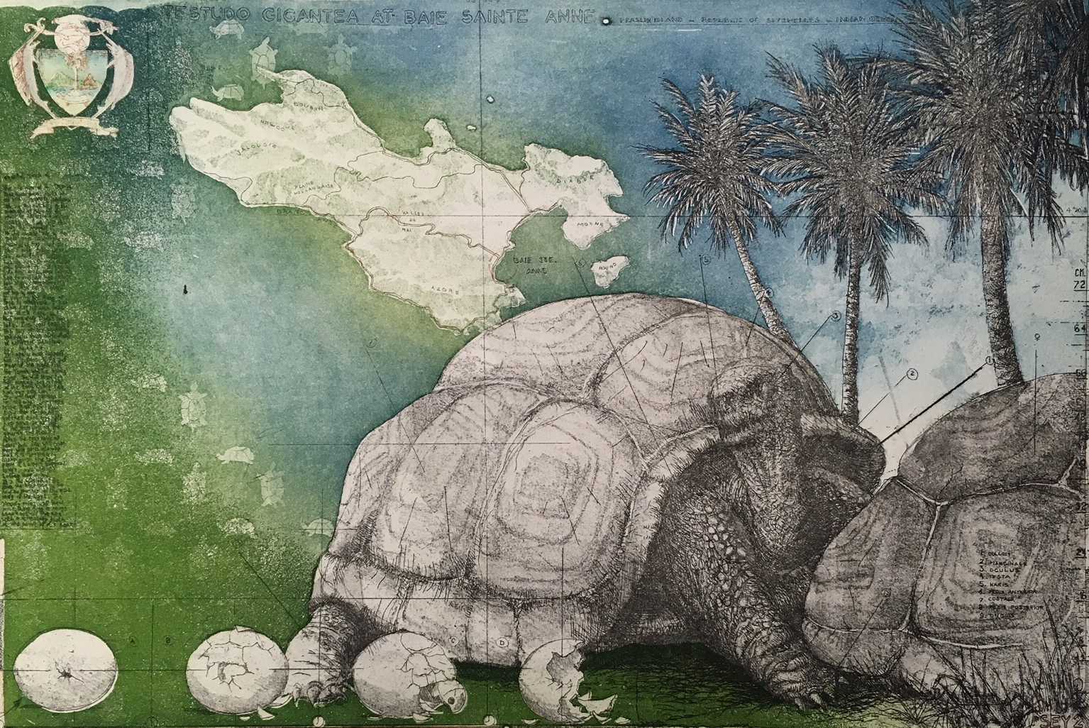 Rolf Weijburg - Ets en aquatint, Testudo gigantea at baie sainte anne verkocht voor € 40!