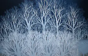 Ilona Schmit - Schaatsers in maanlicht - groot werk - kopen? Bied vanaf 150!