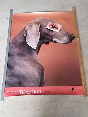Niet of onleesbaar gesigneerd - William Wegman kopen? Bied vanaf 1!