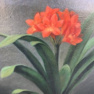 Niet of onleesbaar gesigneerd - Clivia in bloei kopen? Bied vanaf 1!