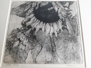 Ad Kooijmans - Ets, Zonnebloem. kopen? Bied vanaf 35!