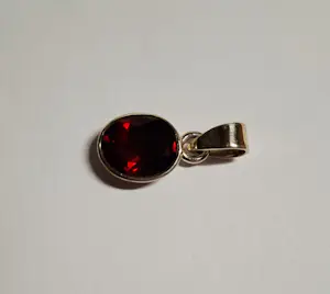 Nieuwe Handgemaakte  zilveren hanger met een mooie gefacetteerde Granaat kopen? Bied vanaf 55!