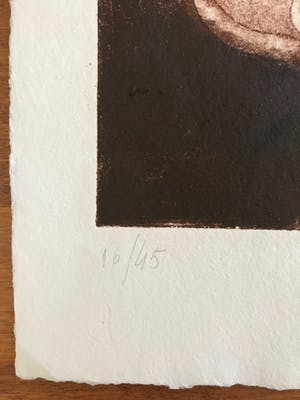 Carlos Mendez - Box met 3 mooie gesigneerde kleurenetsen - 1994 - kleine oplage 16/45 kopen? Bied vanaf 125!