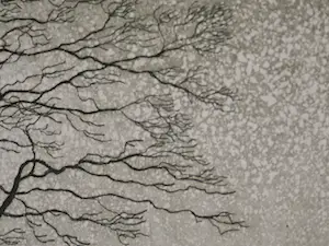 Abraham Lüttger - Bomen in de groene dageraad kopen? Bied vanaf 70!