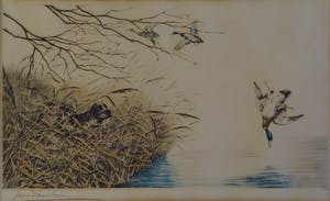 Leon Danchin - Jachttafereel kopen? Bied vanaf 45!