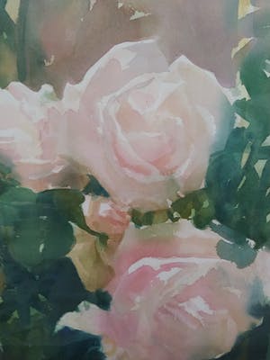 Ger van Dijck - Rozen kopen? Bied vanaf 350!