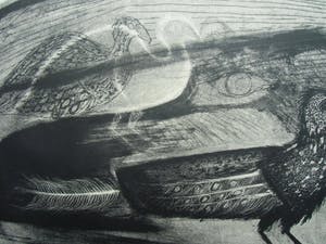 Jan Bezemer - ARGUSVOGEL /// LITHO VAN JAN BEZEMER kopen? Bied vanaf 50!