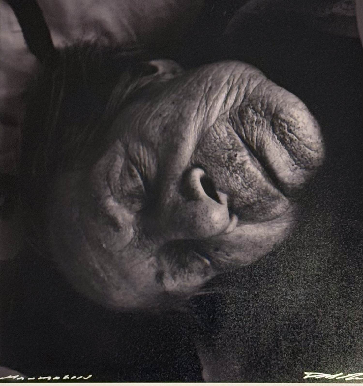 Paul Blanca - Foto: “Mama “ kopen? Bied vanaf 150!