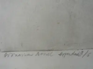 Wim Vaarzon Morel (jr.) - Grafieken - Paarden kopen? Bied vanaf 125!