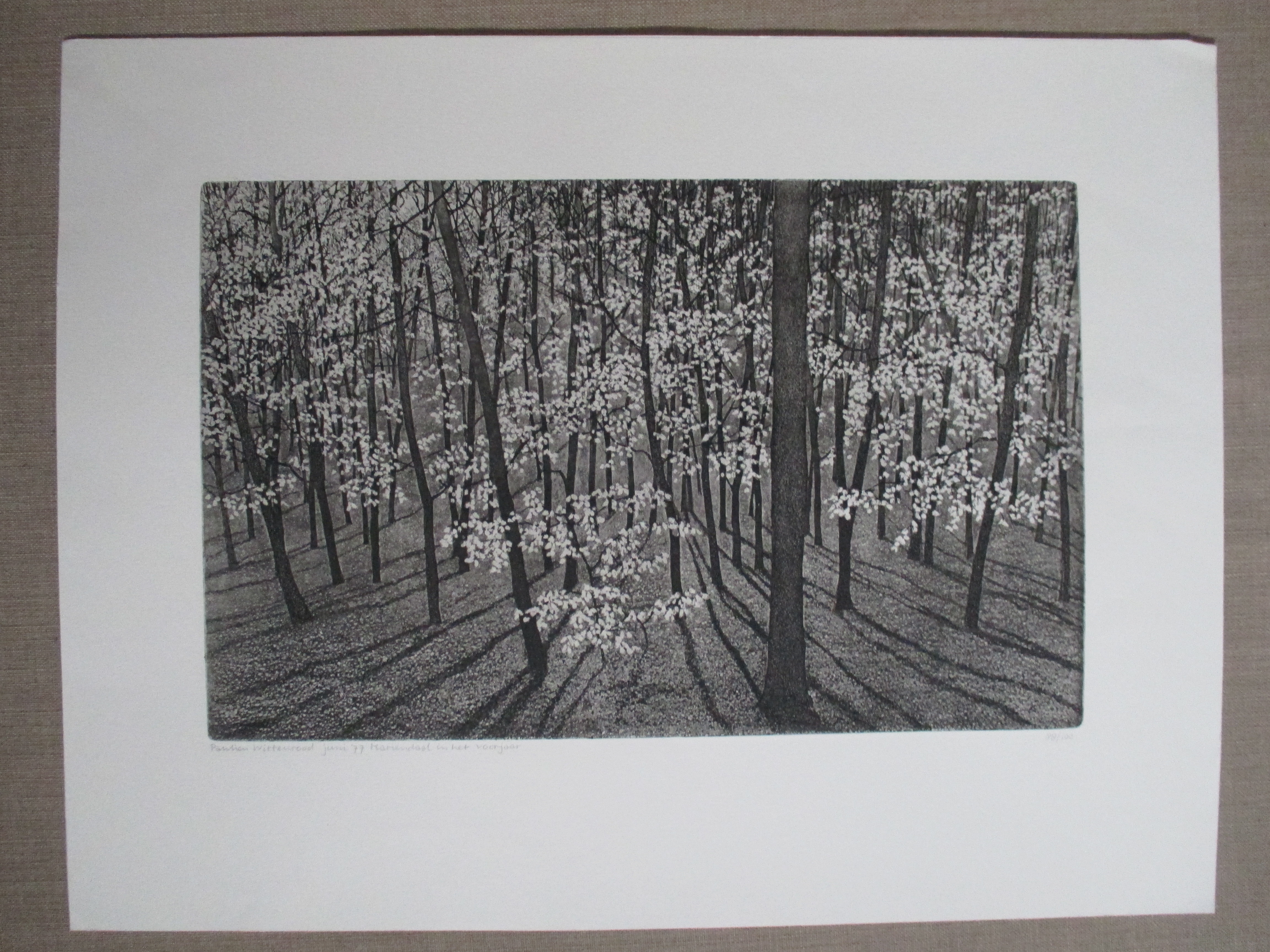 Paulien Wittenrood - Ets "Mariëndaal in het voorjaar" 1977 kopen? Bied vanaf 55!