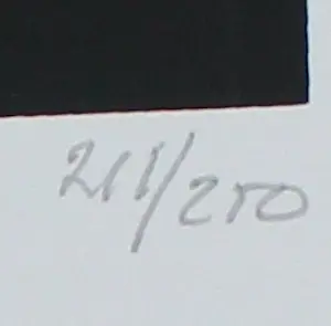 Harry van Kuyk - Zeefdruk: Grafinu - 1976 kopen? Bied vanaf 50!