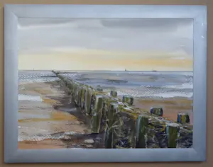 Franklin Meijer - Friese Waddenkust kopen? Bied vanaf 59!