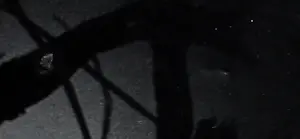 Erwin Olaf - Gelatine silver print kopen? Bied vanaf 195!