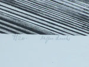 Eduard van Zanden - Bouwput Haringvliet Deltawerken - Litho kopen? Bied vanaf 75!