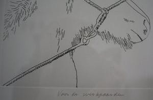 Harrie Gerritz - Voor de Werkpaarden kopen? Bied vanaf 1!