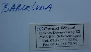 Gerard Wessel - C Print: Herman Brood: Barcelona kopen? Bied vanaf 150!