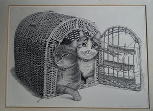 Ella van Schaik - twee poezen in een mandje kopen? Bied vanaf 10!