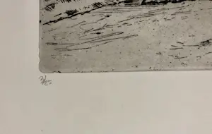 Adri Dijkhorst - Noord Spaanse kust kopen? Bied vanaf 50!