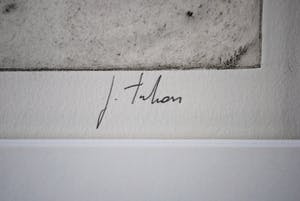 Johan Tahon - ____ Tideride-Mindfield ____ ets - oplage 48 kopen? Bied vanaf 250!