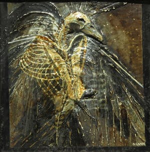 Dagmar Lampe - Gemengde techniek op paneel, Vogel karkas kopen? Bied vanaf 10!