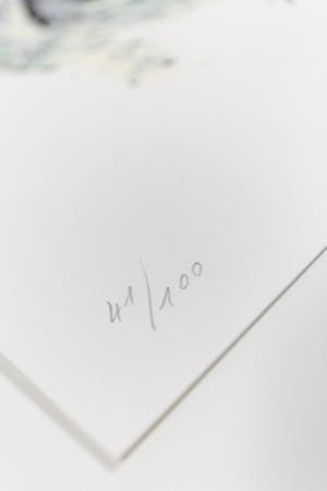 Roger Raveel - handgesigneerde Litho - Felix Vulgaris kopen? Bied vanaf 450!