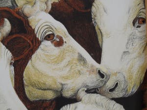 Carolein Smit - Carolien Smit kopen? Bied vanaf 100!