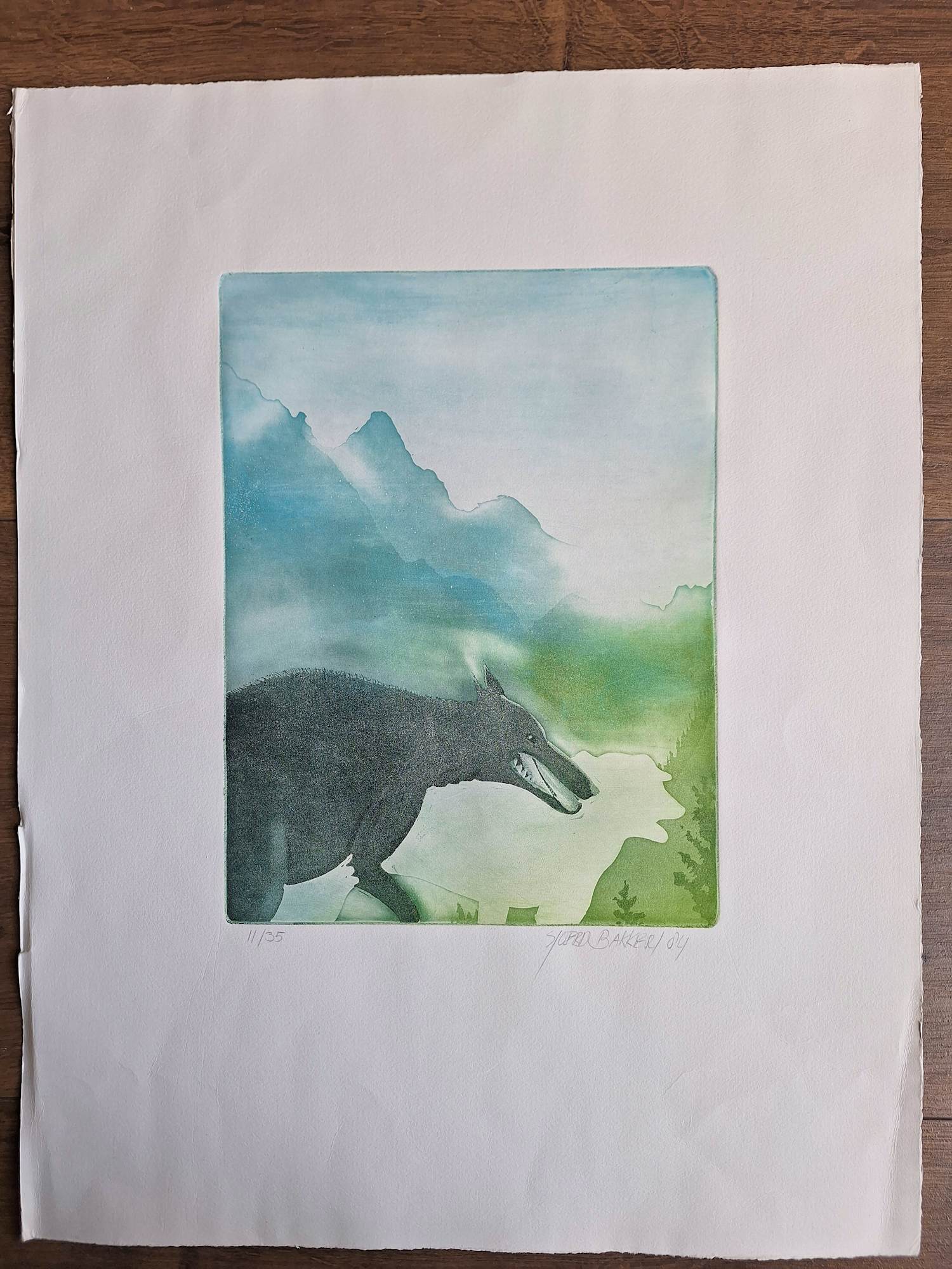 Sjoerd Bakker - Onbekend kopen? Bied vanaf 50!