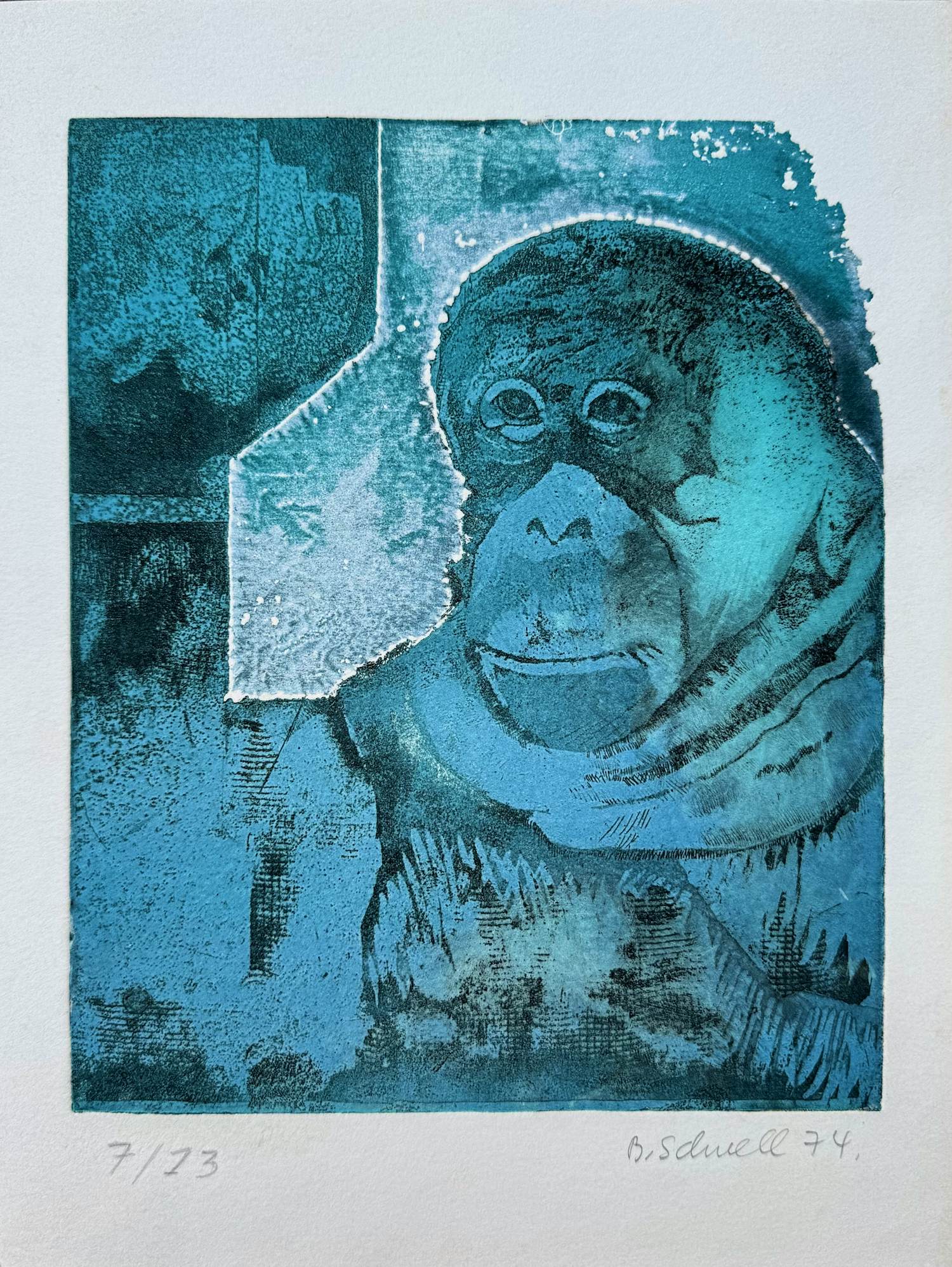Robert Wolfgang Schnell - Gesigneerde ets/aquatint – R. Schnell “aap” 1974 kaufen? Bieten Sie von 35!