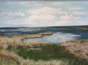 Niet of onleesbaar gesigneerd - 2x landschap Terschelling | 2x olieverf schilderijen (ingelijst) kopen? Bied vanaf 1!