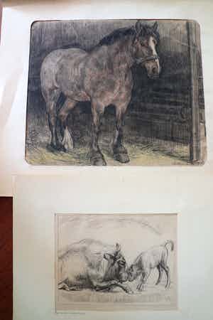 Engelien Reitsma-Valenca - Wisent met spelend kalfje / Paard in stal verkocht voor € 95!