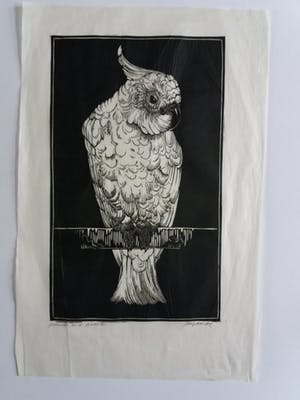 Jan Schonk - 2 houtsnedes "Kaketoe" en "twee reigers". kopen? Bied vanaf 35!