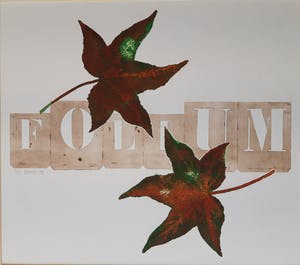 Els Maasson - Folium kopen? Bied vanaf 20!