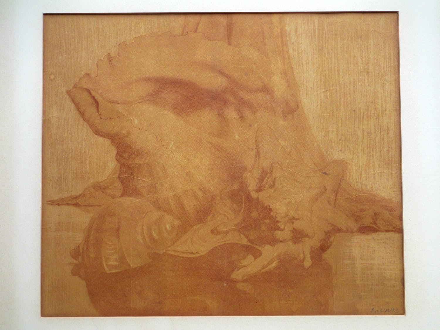 Maurits van der Valk - Stilleven van Schelpen - Litho in bruin kopen? Bied vanaf 1!