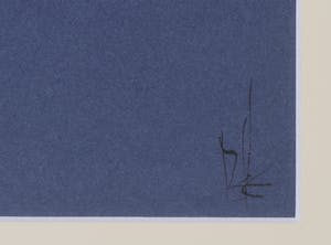 Melle Oldeboerrigter - Inkttekening op blauw geschept papier, Z.T. Naakt, vogels en kikker kopen? Bied vanaf 150!