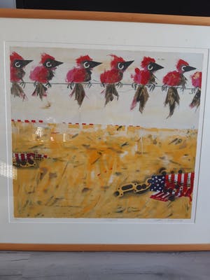 Willem van Scheijndel - Vogeltjes kopen? Bied vanaf 99!