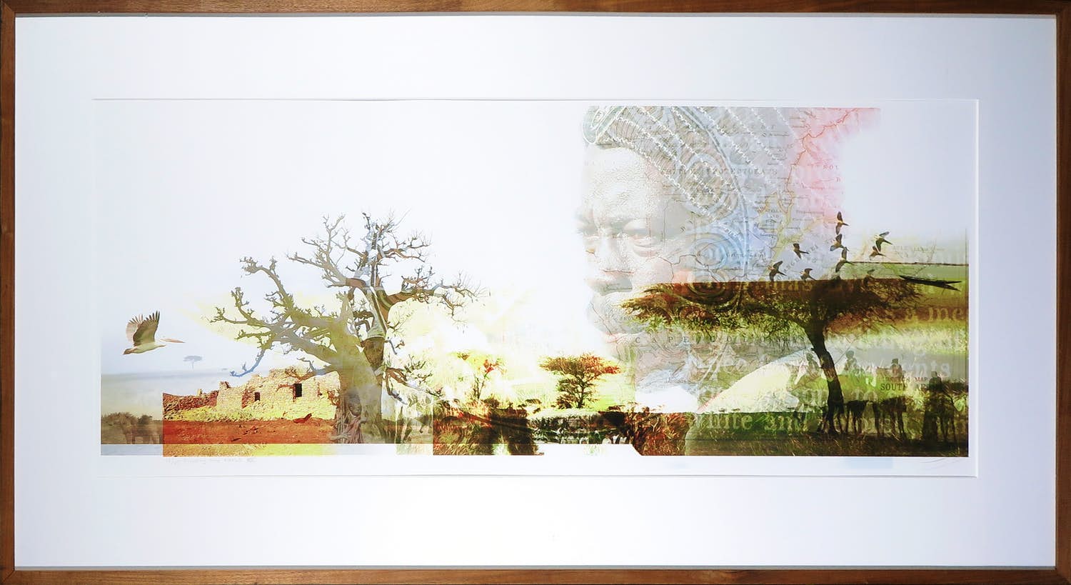 Kim Heesakkers - Foto, Finding my roots - Ingelijst (Groot) verkocht voor € 50!