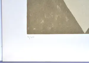 Dan Van Severen - Lithografie, 70x50 cm, gesigneerd, 1975 kopen? Bied vanaf 180!