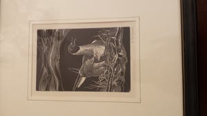 Renaat Bosschaert - 5 houtgravuren kopen? Bied vanaf 100!