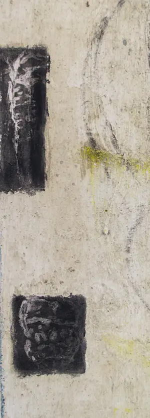 Alexis Gorodine - Coque kopen? Bied vanaf 45!