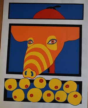 Ton Klop - Varkentje kopen? Bied vanaf 50!