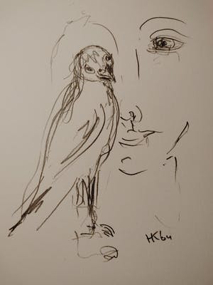 Hans Kuijs - ZOVER HET REIKT.... kopen? Bied vanaf 20!