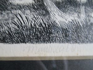 Maus Slangen - Ingelijste litho kopen? Bied vanaf 35!