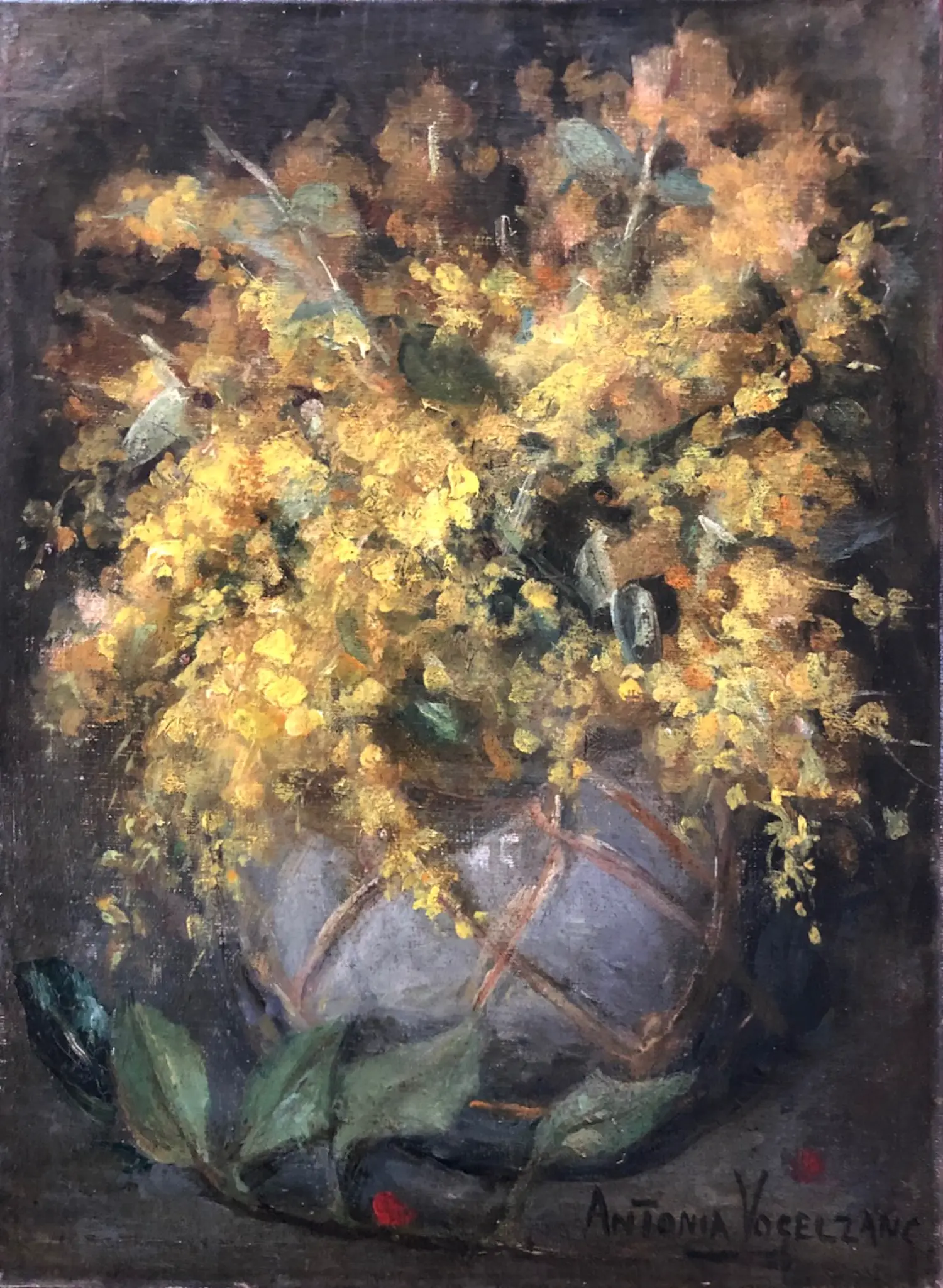 Antonia Vogelzang (1875-1937)