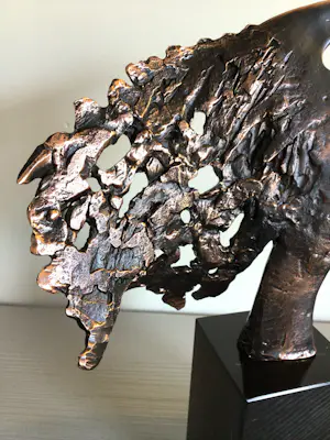 Bernadette Leijdekkers - “ Visie op de toekomst “ zeldzaam . kopen? Bied vanaf 189!