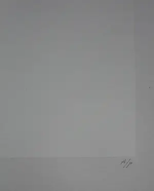 Harry van Kuyk - zeefdruk (uit het Groot Abecedarium) - 1973 kopen? Bied vanaf 199!