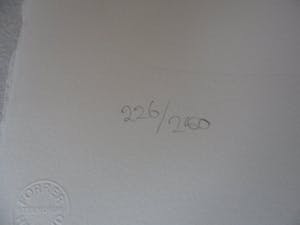 Herman Gordijn - Litho, titel, 'Lida op rolschaatsen' kopen? Bied vanaf 50!