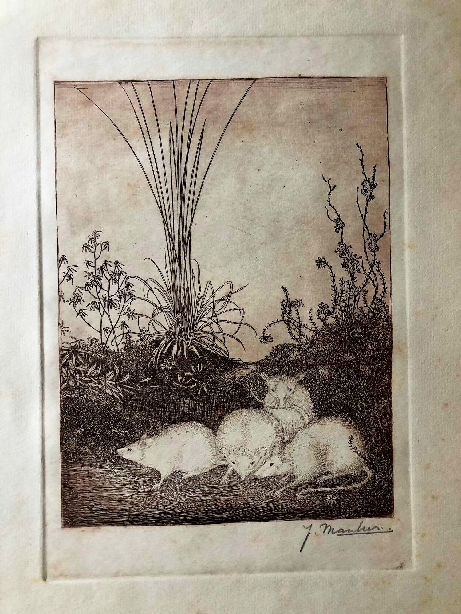 Jan Mankes - Vier muizen - Gesigneerd - 1916 najaar kopen? Bied vanaf 550!