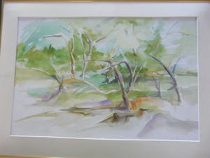 Jo Manders - natuur aqurel kopen? Bied vanaf 300!