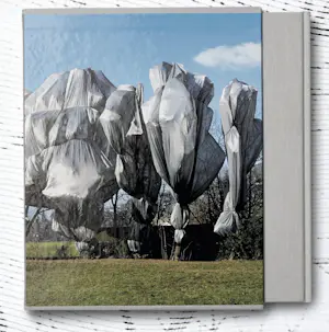 Christo - XXL Book Wrapped Trees + print + originele stof, gesigneerd&genummerd - Taschen kopen? Bied vanaf 539!