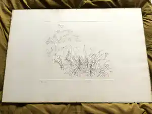 Jaap Hillenius - paarden in landschap vendu pour 40€ !
